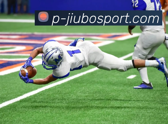 九博体育官网APP 封面图